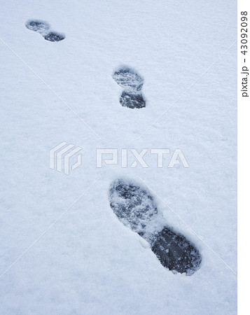Footprints in fresh snow background. Footprints in fresh snow background. 43092098
