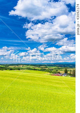 《北海道》上富良野・夏の空と田園風景 《北海道》上富良野・夏の空と田園風景 43092174