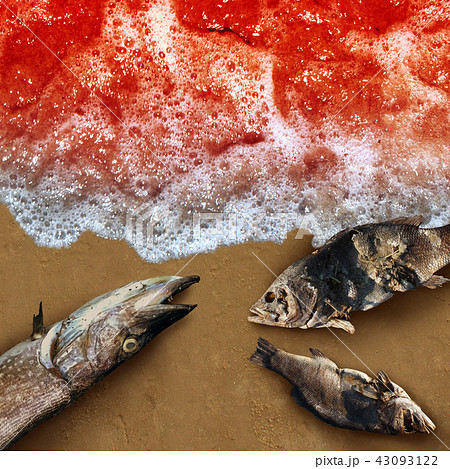 Red Tide Concept 43093122