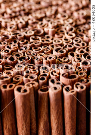 シナモンスティック 43094008