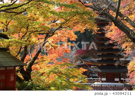 談山神社紅葉 談山神社紅葉 43094211