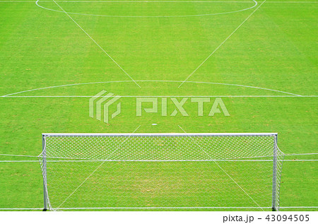 緑の天然芝が美しいサッカースタジアムの風景 43094505