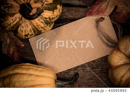 Fall shopping sale promotion in Autumn season Fall shopping sale promotion in Autumn season 43095893