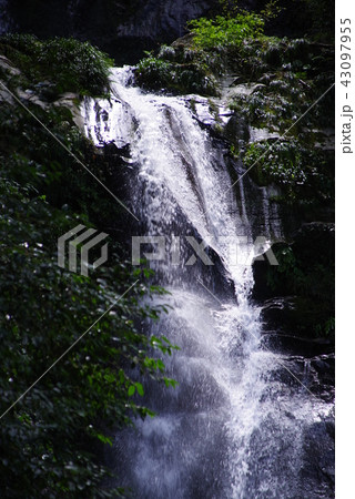 鳴滝 43097955