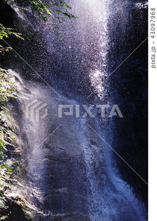 鳴滝 43097968