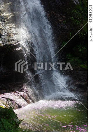 鳴滝 43098015