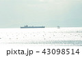 須磨 43098514