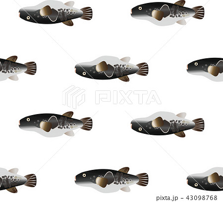 トラフグ 43098768