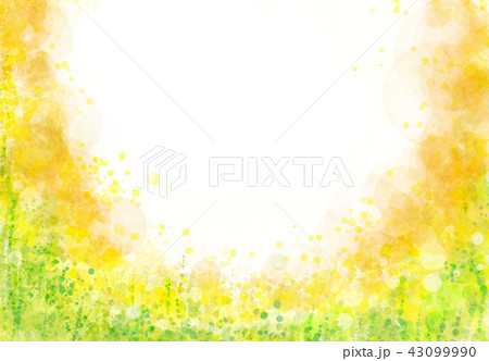 花ばたけ 花ばたけ 43099990