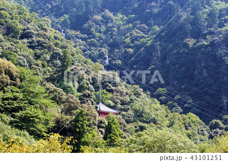 金華山ロープウェイ、岐阜城へ至る空中経路 金華山ロープウェイ、岐阜城へ至る空中経路 43101251