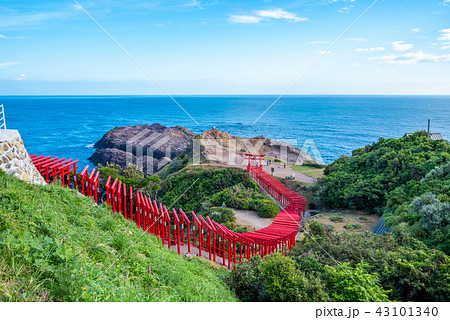 山口県 元乃隅稲成神社の景色（2018年8月） 43101340