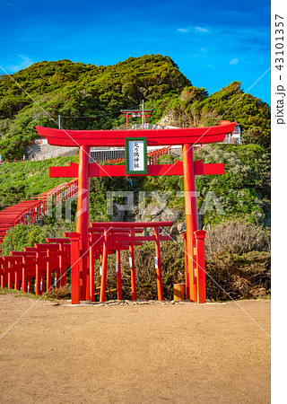 山口県 元乃隅稲成神社の景色(2018年8月) 山口県 元乃隅稲成神社の景色(2018年8月) 43101357