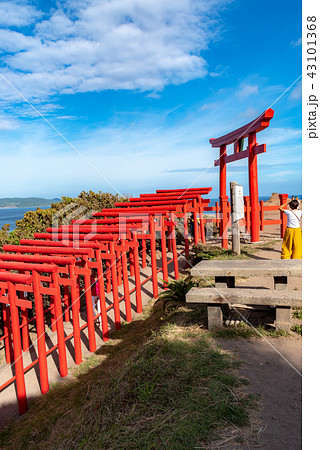 山口県 元乃隅稲成神社の景色(2018年8月) 山口県 元乃隅稲成神社の景色(2018年8月) 43101368