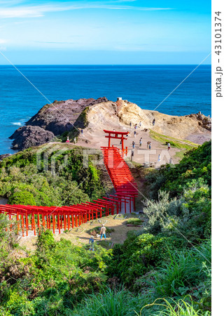 山口県 元乃隅稲成神社の景色(2018年8月) 山口県 元乃隅稲成神社の景色(2018年8月) 43101374