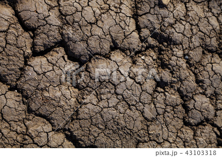 Cracked dry earth. 43103318
