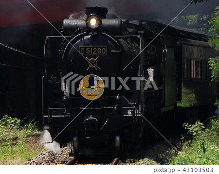 D51　山口号 43103503