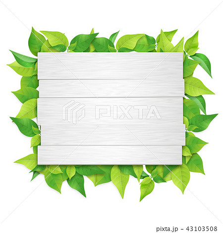 白木の看板 葉っぱ Png 切り抜き素材 のイラスト素材 43103508 Pixta