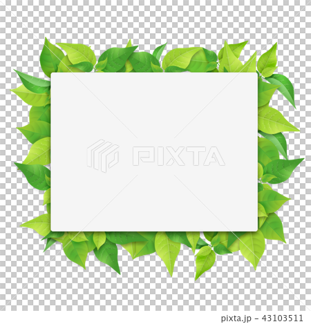 白板葉（PNG，剪裁材料） 43103511
