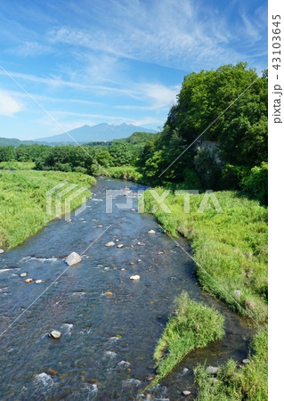 韮崎の夏風景 43103645