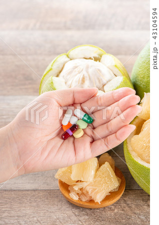 ユズ 柚 文旦 43104594