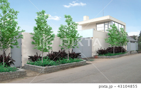 Property dividing line and driveway beautification 43104855