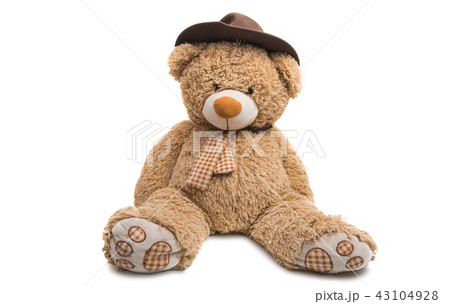 soft toy bear isolated soft toy bear isolated 43104928
