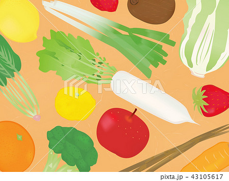 冬の食材　紙　イラスト背景　 43105617