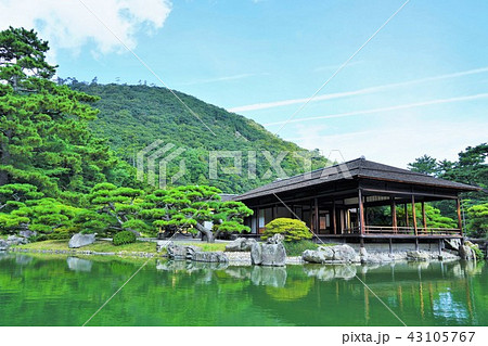 日本庭園(栗林公園) 日本庭園(栗林公園) 43105767