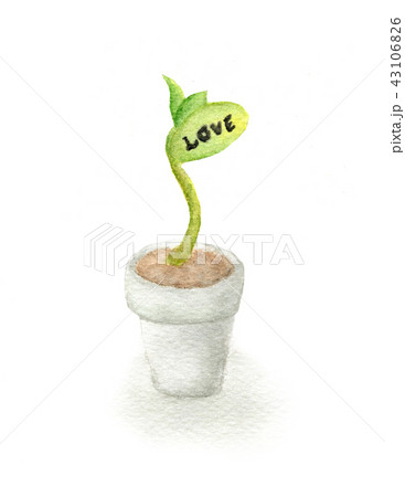 The growth of love The growth of love 43106826