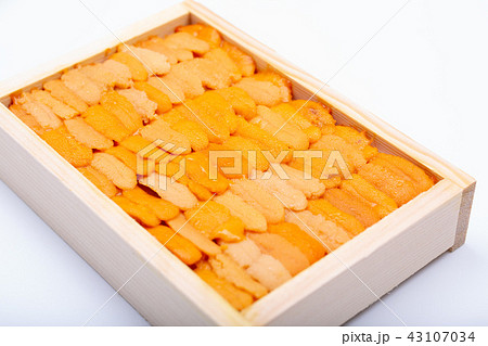 ウニ　食材 43107034