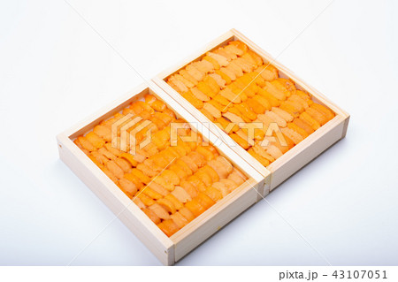 ウニ　食材 43107051