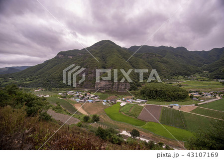 風景 田畑 空 43107169