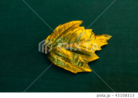Autumn golden Leaf with copy space Autumn golden Leaf with copy space 43108313