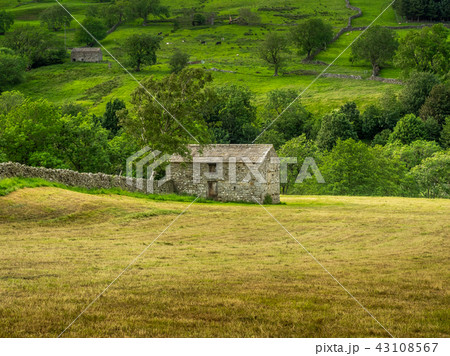 Swaledale Barns and stone walls 43108567