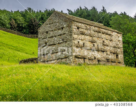 Swaledale Barns and stone walls 43108568