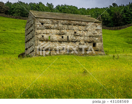 Swaledale Barns and stone walls Swaledale Barns and stone walls 43108569