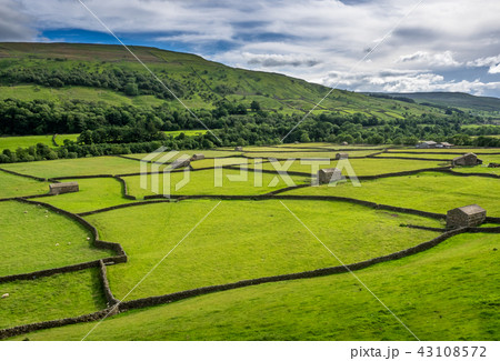 Swaledale Barns and stone walls 43108572