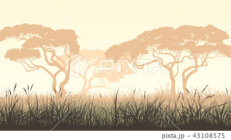 Illustration meadow grass and African acacia. Illustration meadow grass and African acacia. 43108575