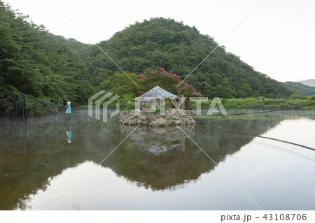 植物 風景 木 43108706