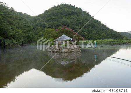 植物 風景 木 43108711