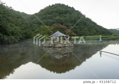 風景 湖 植物 43108712