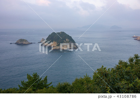 木 植物 雲 43108786