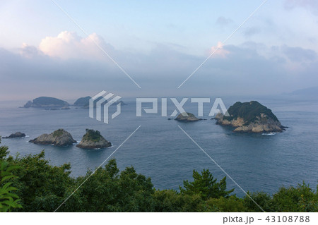 木 植物 雲 43108788