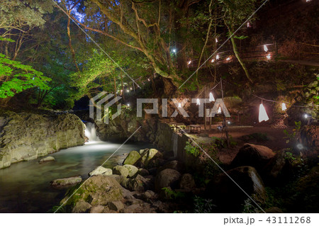 かに滝ライトアップ 43111268