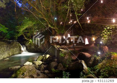 かに滝ライトアップ かに滝ライトアップ 43111269