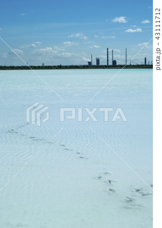 bird tracks in a dead lake bird tracks in a dead lake 43111712