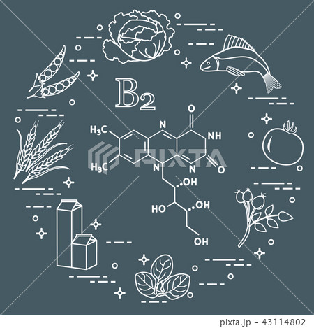 Foods rich in vitamin B2 Fish, peas and other. 43114802