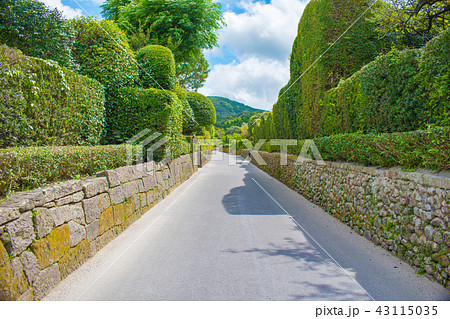 鹿児島・知覧の武家屋敷通り 43115035