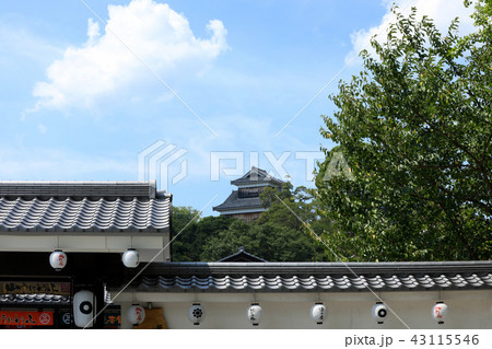 熊本城と青空、八月(熊本県) 熊本城と青空、八月(熊本県) 43115546