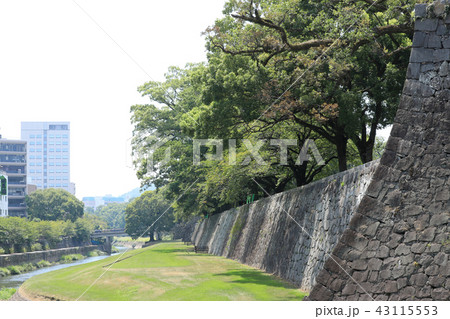 熊本城の長堀(熊本県) 熊本城の長堀(熊本県) 43115553